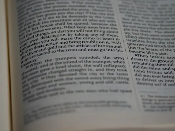 ヘイゴ カジノ サポート